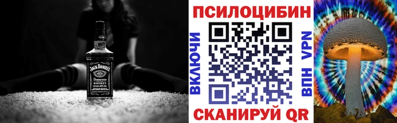 shop наркотические препараты  Гусь-Хрустальный  Псилоцибиновые грибы Cubensis 